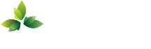 Tradefog Packaging